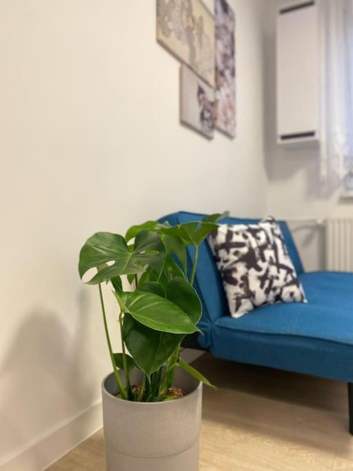 Apartman Kristina Sturovo Exterior photo